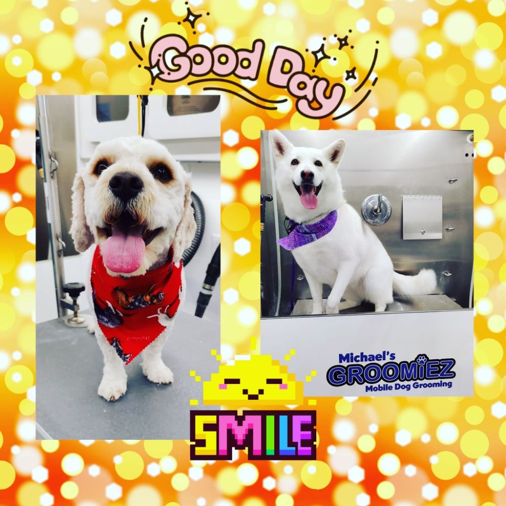 MICHAEL’S GROOMIEZ MOBILE DOG GROOMING Updated October 2024 120
