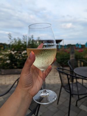 Fox Hollow Vineyards by null