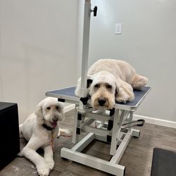 Unleashed Grooming
