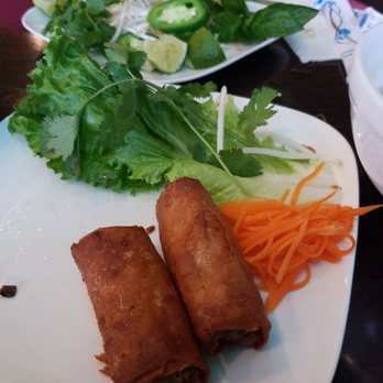 Bay Fusion - Super crispy (read: burnt) egg rolls - Vietnamese Near Me - Spring, Texas Bay Fusion - Super crispy (read: burnt) egg rolls - Vietnamese Near Me - Spring, Texas