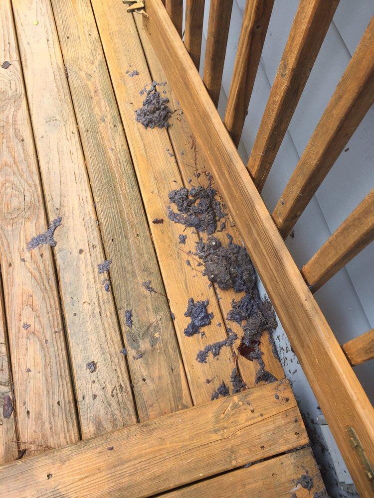 SUPERIOR DUCT CLEANING Updated August 2024 23 Photos & 14 Reviews