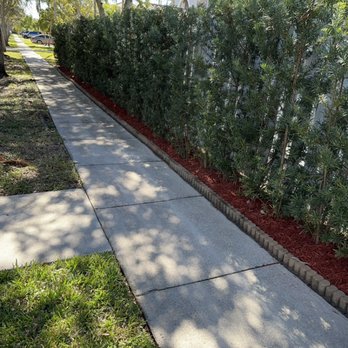 Alex Molina Landscaping - Lawn Services Near Me