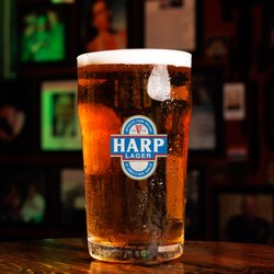 Paddy's Irish Public House - Paddy's Irish Pub - HARP LAGER - Fayetteville, NC