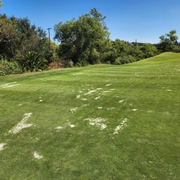 Local Rule; playing 2 putts maximum
