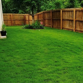 Think Green Lawn Service - Pest Control Near Me - Cumming, Georgia Think Green Lawn Service - Pest Control Near Me - Cumming, Georgia