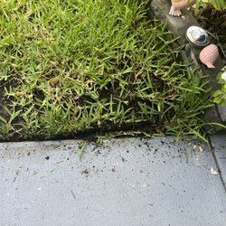 All In One Landscaping