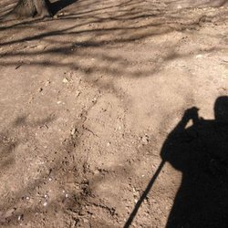 Essential Home Maintenance Checklist: Keep Your Home in Top Condition