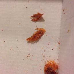 FEATHERS in our boneless wings dry rub. Delicious. And all they gave us was coupons for more.