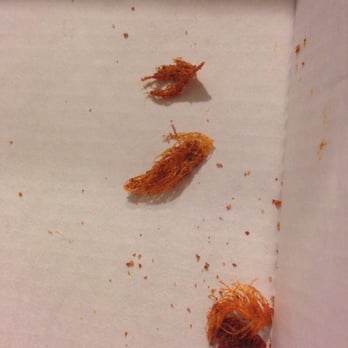 Buffalo Wild Wings - FEATHERS in our boneless wings dry rub. Delicious. And all they gave us was coupons for more. - Chicken Wings Near Me - Janesville, Wisconsin