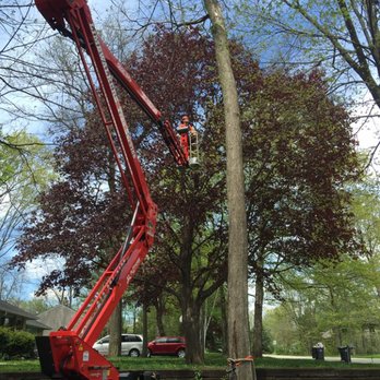 Limbwalkers Tree Service - Tree Services Near Me - Muskego, Wisconsin Limbwalkers Tree Service - Tree Services Near Me - Muskego, Wisconsin