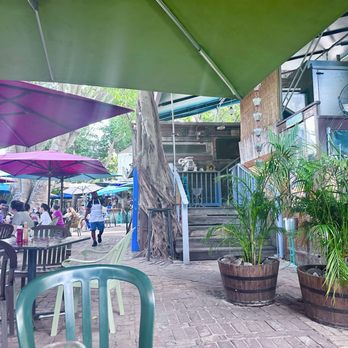 Blue Heaven - Outside seating - Breakfast & Brunch Near Me - Key West, Florida