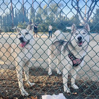 Flora Vista Dog Park - Best buds - Dog Parks Near Me - Bellflower, California Flora Vista Dog Park - Best buds - Dog Parks Near Me - Bellflower, California