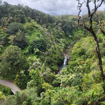 Road to Hana - Tours Near Me - Kihei, Hawaii Road to Hana - Tours Near Me - Kihei, Hawaii