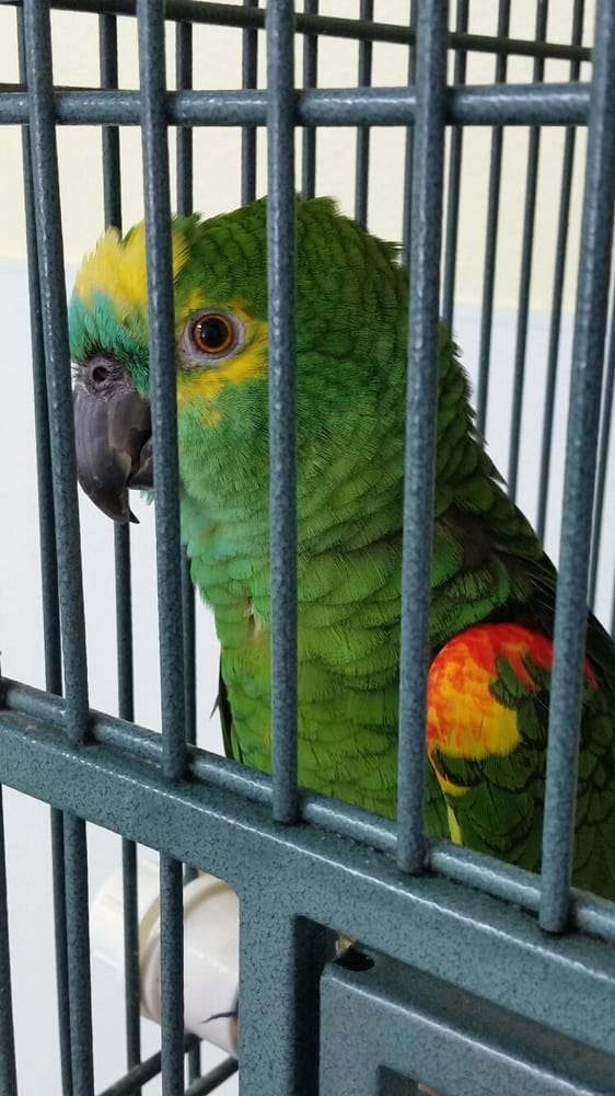 Pet Stop Grooming & Boarding Image