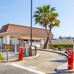 In-N-Out Burger - Image