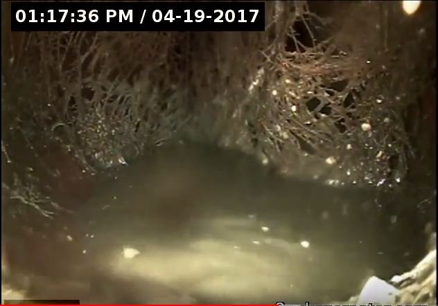 Slide of Spokane Rooter