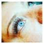 Photo of Flawless Lashes and Waxing