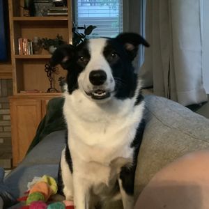 CVS PHARMACY - Updated October 2025 - 15 Photos & 29 Reviews - 27749 ...