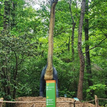 Zoo Knoxville - Zoos Near Me - Knoxville, Tennessee Zoo Knoxville - Zoos Near Me - Knoxville, Tennessee