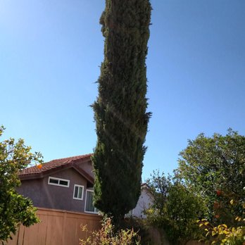 Environmental Green Tree Care - Tree Services Near Me