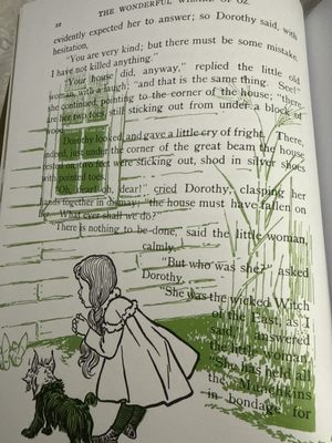 Books of Wonder by null