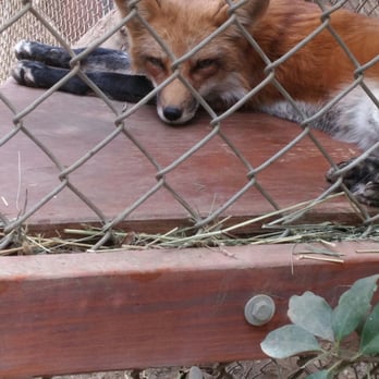 Wildlife Learning Center - Zoos Near Me - Sylmar, California