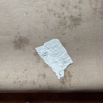 Champs Carpet - Untouched carpet! - Carpet Cleaning Near Me Champs Carpet - Untouched carpet! - Carpet Cleaning Near Me
