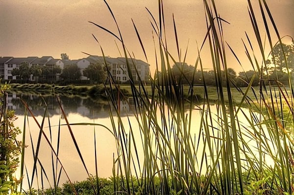 Sea Palms Resort St Simons Island by null