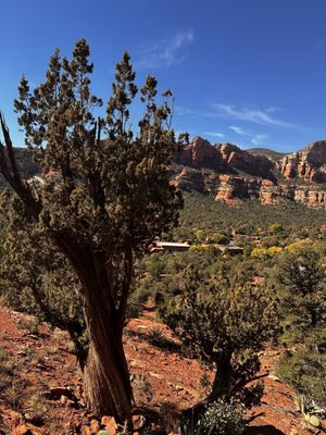 Boynton Canyon Trail by null