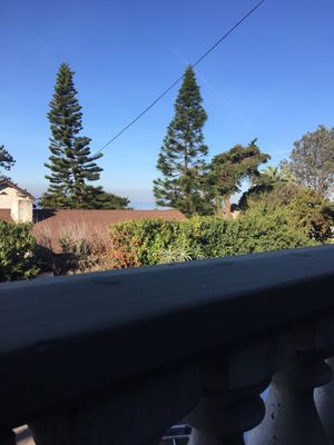 Secret Garden Inn by null