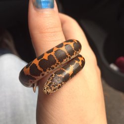 Lowcountry Exotics - This is October! Thank you Eric / LowCountry Exotics!!