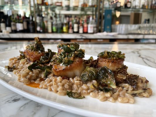 Cibo Detroit by null