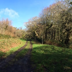 Penrice Castle Cottages - View from the driveway (Martha's Cottage is off-road so lovely and quiet)