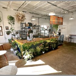 Dandy Lion Coffee - Order here