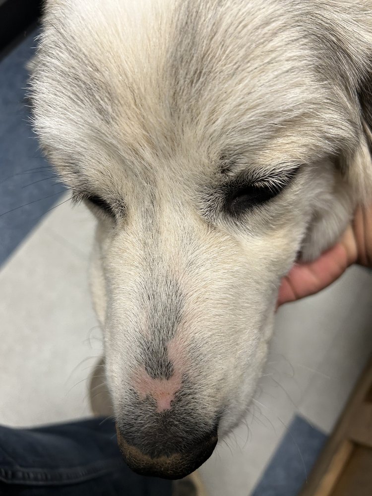 WEST STANLY ANIMAL CLINIC Updated September 2024 19 Reviews 237