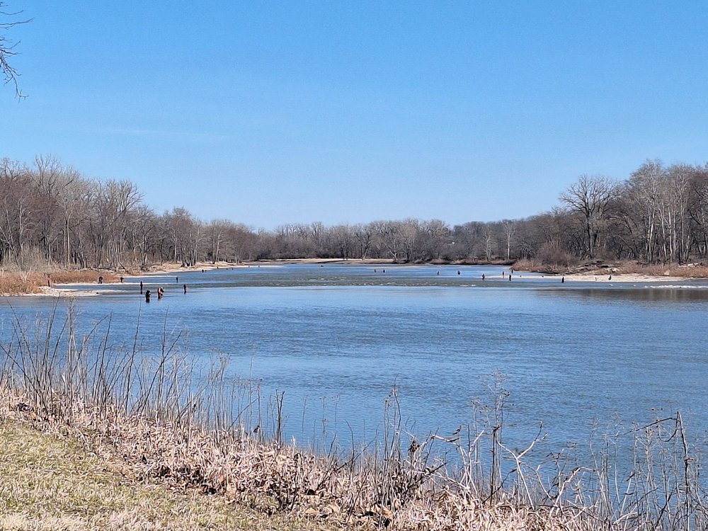 Side Cut Metropark Logo