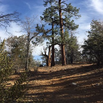 Big Bear Escapes - Vacation Rental Agents Near Me - Big Bear Lake, California