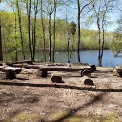 Illinois Mountain Park - Highlights of the journey featuring the lake and firepit - 5/10/2022
