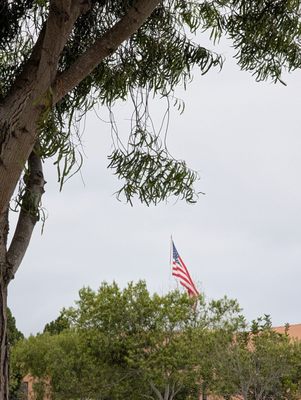 Naval Training Center Park by null