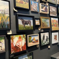 Squirrel Gallery