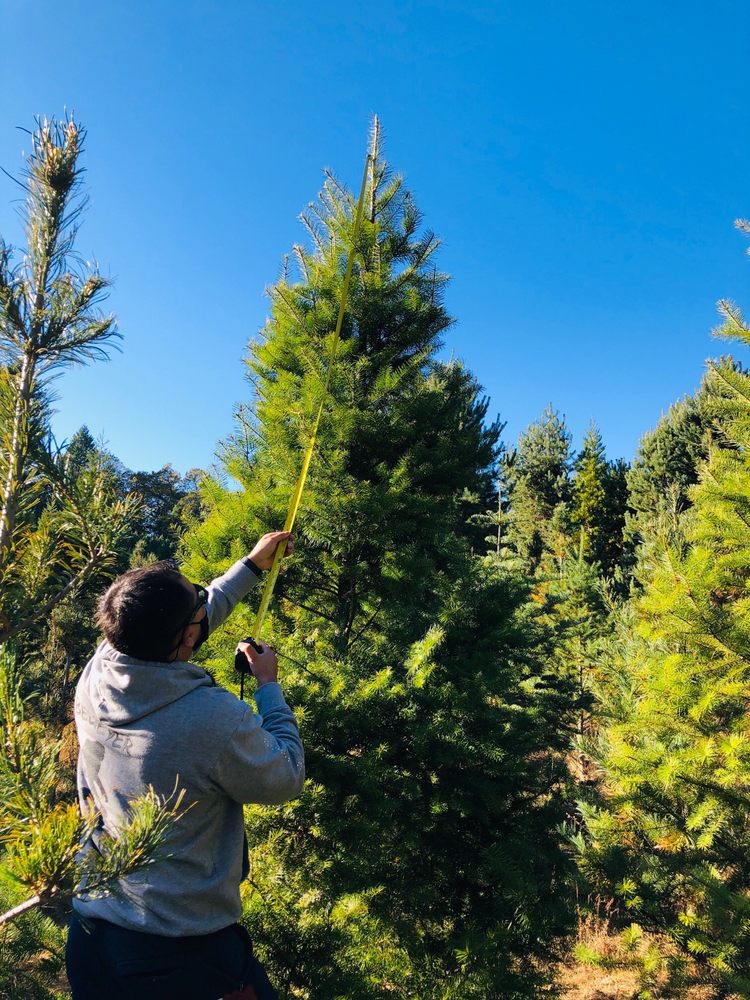 FROSTY’S CHRISTMAS TREE FARM TEMP. CLOSED Updated September 2024