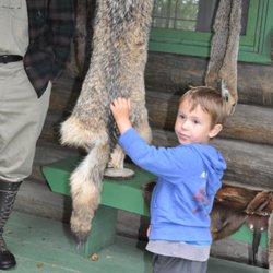 Forest History Center