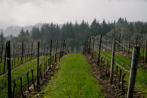 Benton-Lane Winery by null