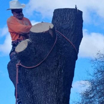 Speck and Sons Tree Service - Ken speck - Tree Services Near Me Speck and Sons Tree Service - Ken speck - Tree Services Near Me