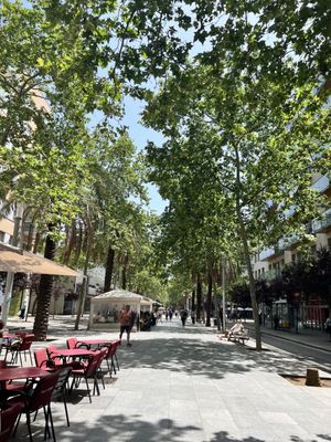 Rambla del Poblenou by null