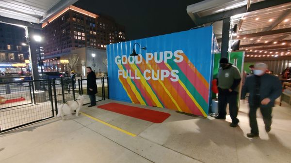 Bark Social by null