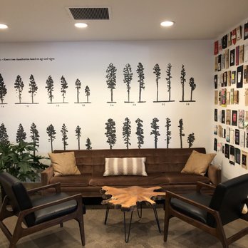 Little Bear Coffee - Coffee & Tea Near Me - Albuquerque, New Mexico Little Bear Coffee - Coffee & Tea Near Me - Albuquerque, New Mexico