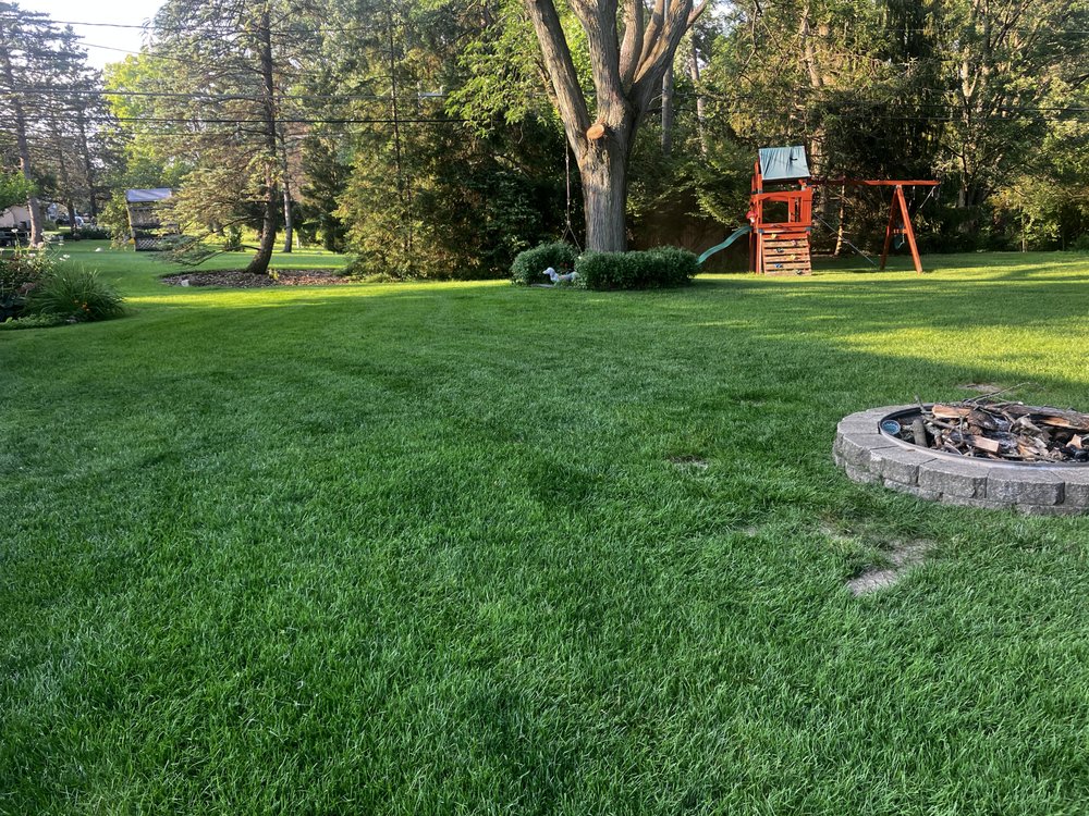 The Chop Shop - tree service in Detroit, MI