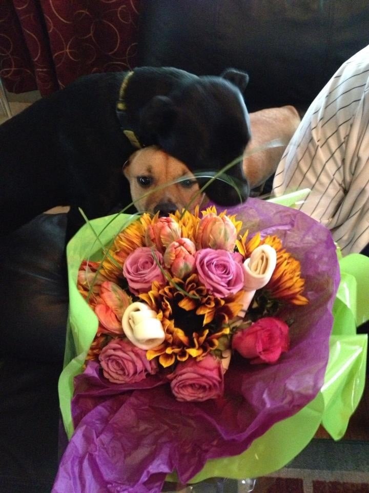 FLOWERS ON THE RIVER Updated September 2024 5795 Tyndall Ave, Bronx