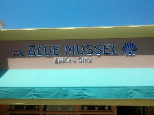 The Blue Mussel by null